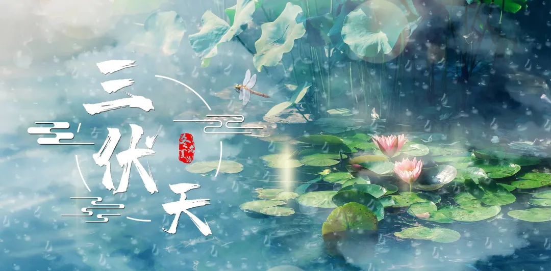伏“邪”要重視，錯過留病根！艾草三伏貼助力“冬病夏治 春夏養陽”！