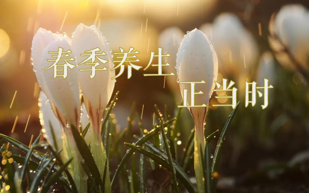 春天艾灸，陽上增陽，這些技巧別錯過！