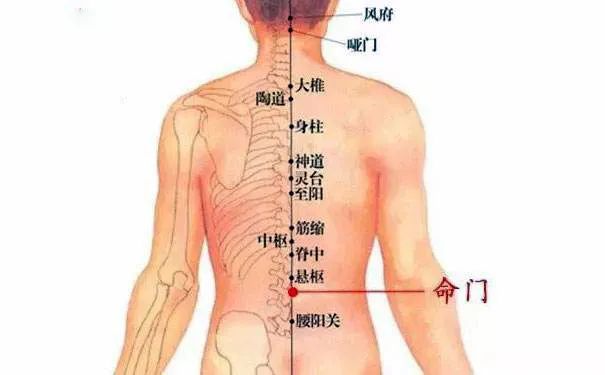 命門火衰影響人體生老病衰？命門穴有何神奇，竟決定生命的元陽盛衰？