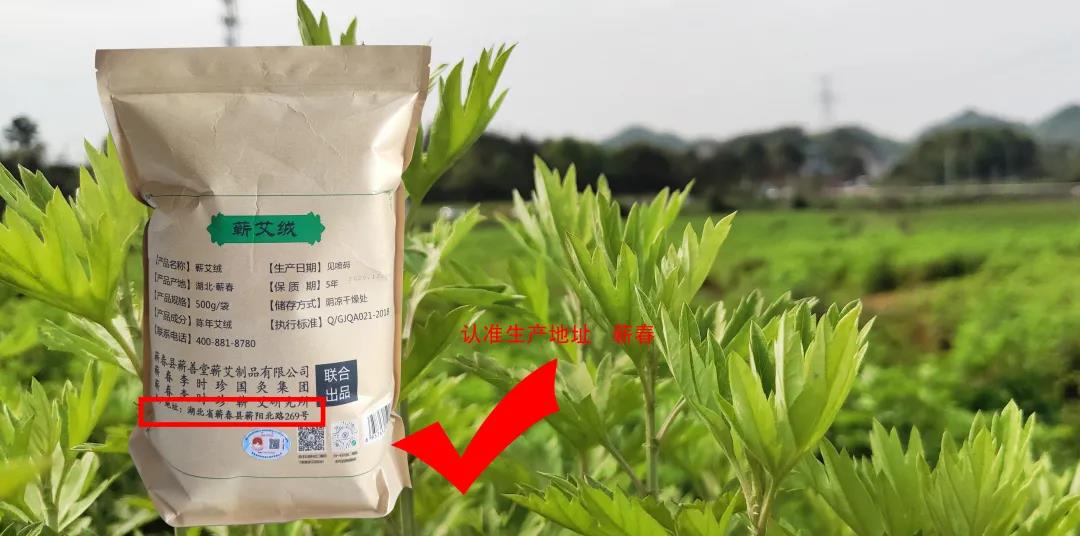 有“艾”相伴，補益陽氣行氣活血，淡淡艾香好助眠